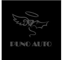 Puno Auto Logo